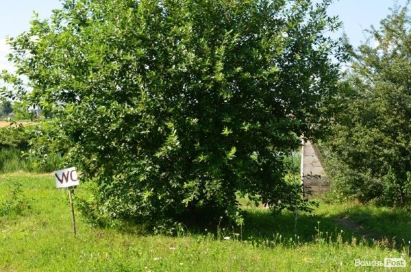 Відпочинок під Луцьком. Боголюби. ФОТО