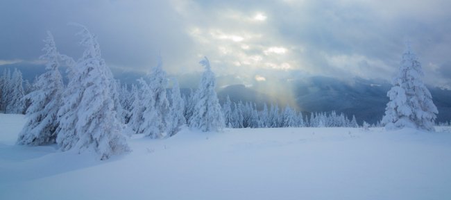 Луцький фотограф поділився світлинами засніжених Карпат