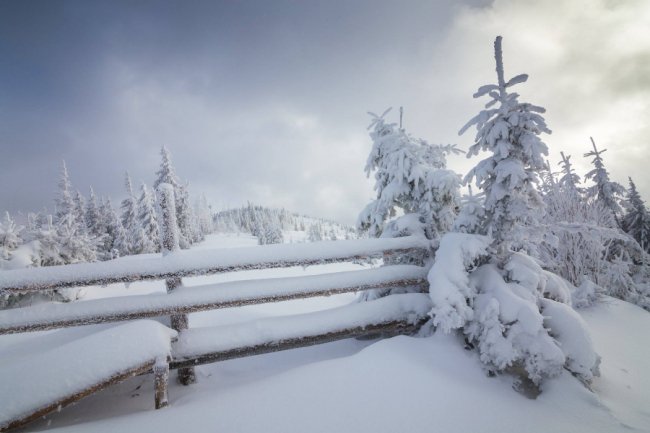 Луцький фотограф поділився світлинами засніжених Карпат