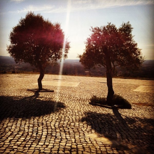 Фотовиставка Лідії Кожевнікової