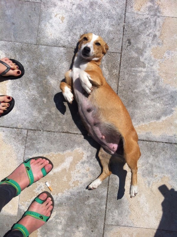 Фотовиставка Лідії Кожевнікової