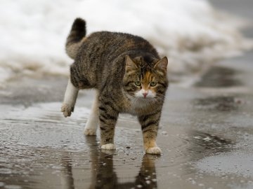 Погода в Луцьку та Волинській області на четвер, 28 лютого