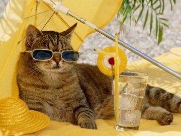 Погода в Луцьку та Волинській області на середу, 8 липня