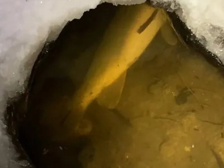 Ополонки не допомогли: у каналах Центрального парку Луцька масово гине риба