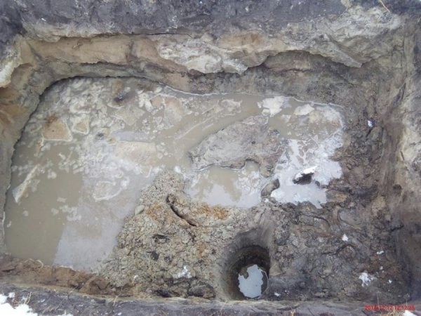 На Волині виявили копанки незаконного видобування бурштину. ФОТО