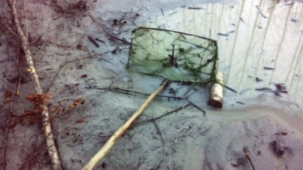 На Волині виявили копанки незаконного видобування бурштину. ФОТО