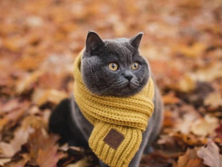 Якою буде погода у Луцьку та на Волині завтра, 7 грудня