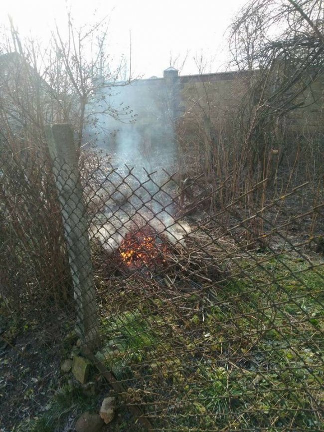Лучанку покарали за «задимлену вулицю». ФОТО