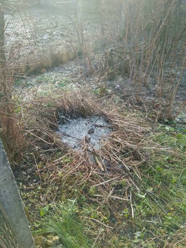 Лучанку покарали за «задимлену вулицю». ФОТО