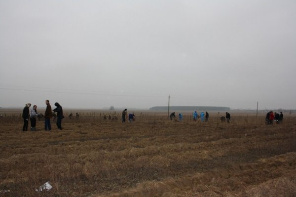 Біля полігону у Брищі садять дерева. 6 квітня 2012 року. Фото прес-служби Волинської ОДА