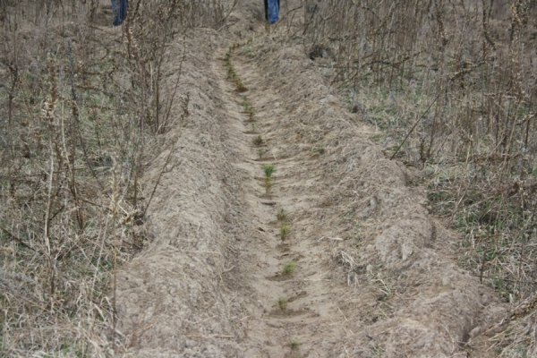 6 квітня 2012 року. Фото прес-служби Волинської ОДА