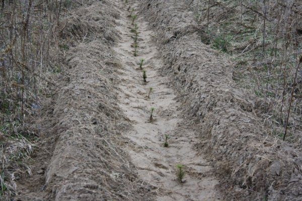 6 квітня 2012 року. Фото прес-служби Волинської ОДА
