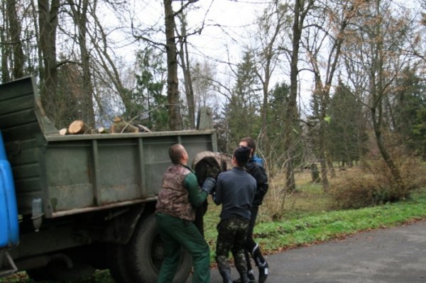 Як луцька міліція садила дерева. ФОТО