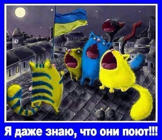 Фотожаби тижня: Дещиця, Путін, Кернес