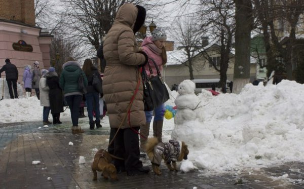 У Вінниці зліпили майже 300 сніговиків. ФОТО