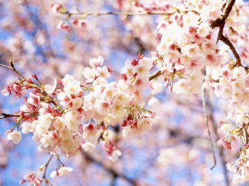 Якою буде погода у квітні в Україні: синоптики озвучили прогноз