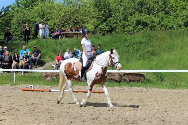 Вперше в Україні у змаганнях з кінного спорту взяли участь «сонячні» діти з Луцька. ФОТО