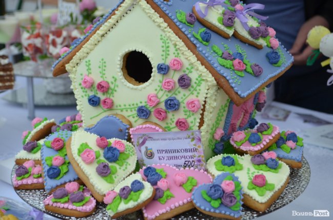 Від мініатюрних тістечок до величезних гойдалок: у центрі Луцька – свято професійної освіти. ФОТО