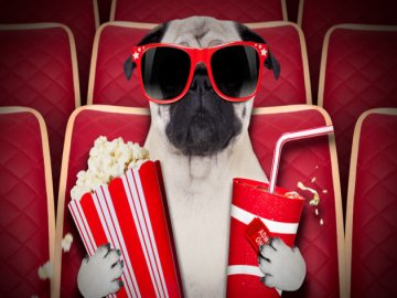 ТОП-7 жанрів кіно*