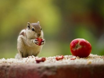 Погода у Луцьку на понеділок, 11 вересня