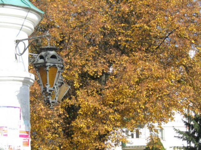 Краса золотої осені у місті на Волині. ФОТО