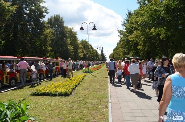 Свято квітів у Луцьку. ФОТО