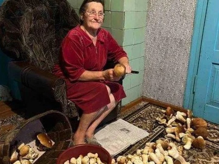 Волинянка приносить з лісу по кілька відер білих за раз: в чому її секрет 