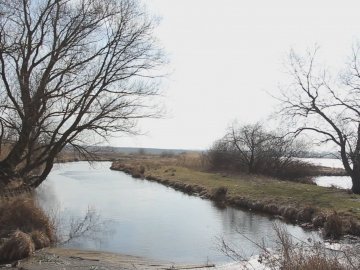  На Волині незаконно роздали ставки і землі заказників