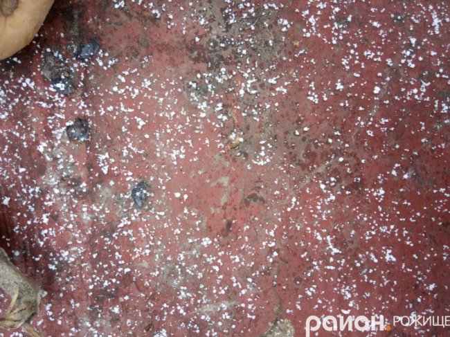 На Волині випав перший сніг