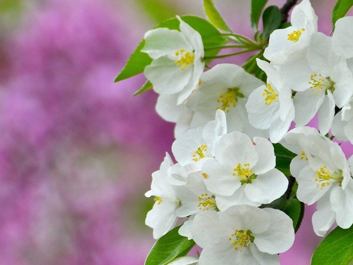 Погода в Луцьку та Волинській області на завтра, 28 травня