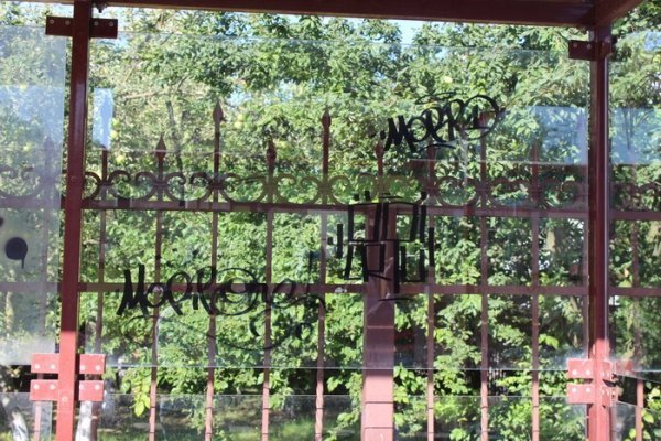 У Луцьку наробили збитків вандали. ФОТО