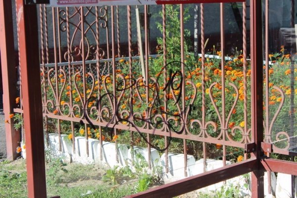 У Луцьку наробили збитків вандали. ФОТО