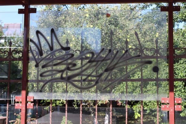 У Луцьку наробили збитків вандали. ФОТО