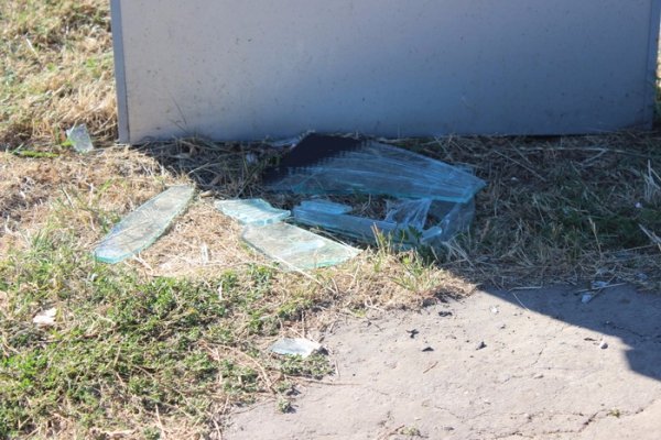 У Луцьку наробили збитків вандали. ФОТО