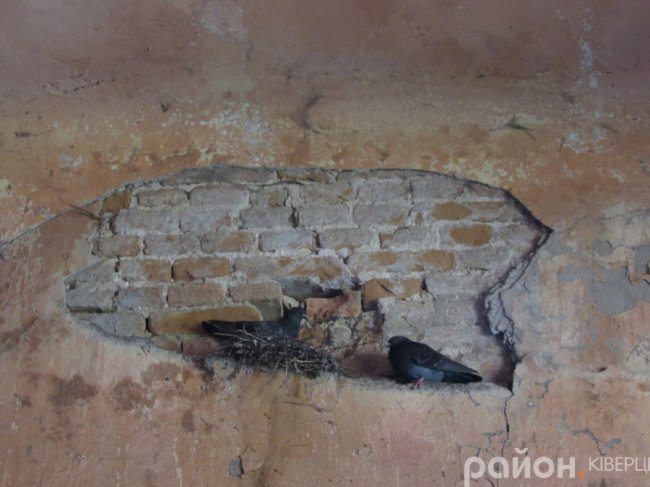 Волинський Версаль: на руїнах славетної історії