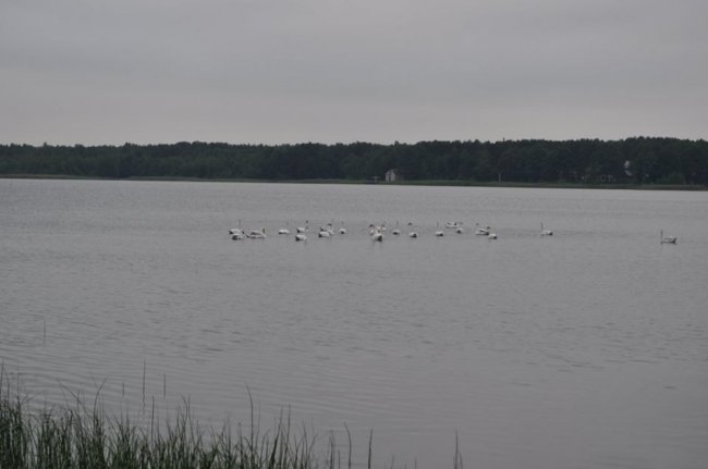 Краса Пісочного озера на знімках місцевого фотографа