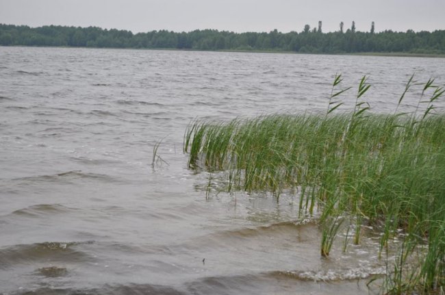 Краса Пісочного озера на знімках місцевого фотографа