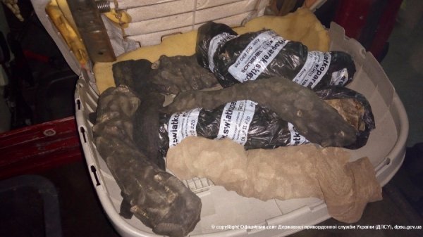 З початку року співробітники Держприкордонслужби виявили понад 420 кг бурштину. ФОТО. ВІДЕО