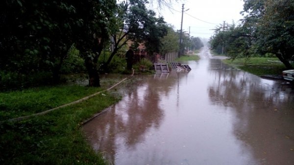 У Луцьку затопило вулиці та школу. ФОТО