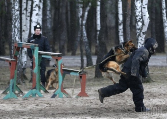 Як тренується Національна гвардія. ФОТО