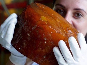 Чоловік хотів провезти через Волинь півкілограмовий бурштин, але побачив прикордонників і розбив його  