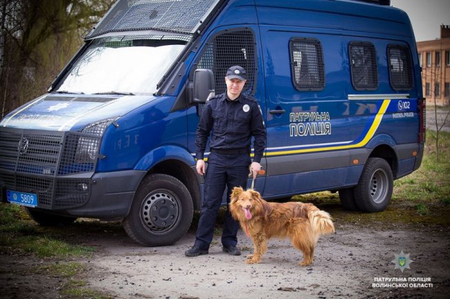 Добро робити легко: як волинські патрульні фотографувалися з безпритульними песиками