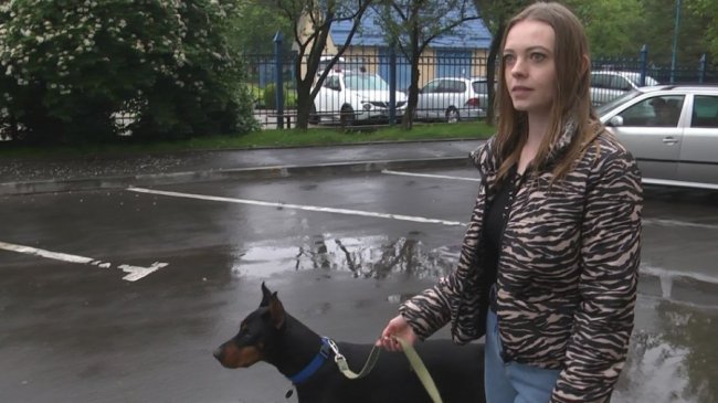 Як у Луцьку облаштувалися переселенці з домашніми улюбленцями. ФОТО. ВІДЕО