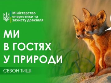 Сезон тиші: як волинянам поводитися у лісі