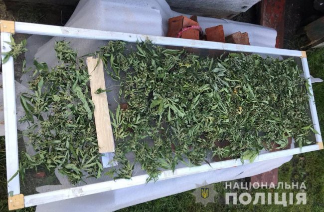 «Закладки», шприци, таблетки: на Волині правоохоронці «накрили» наркобізнес. ФОТО
