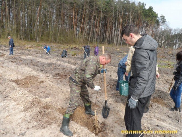 На Волині створили «Вишневий сад Василя Мойсея»