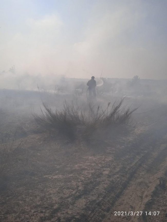 Птахам і тваринам не вижити в такому вогні: на Волині горить очерет
