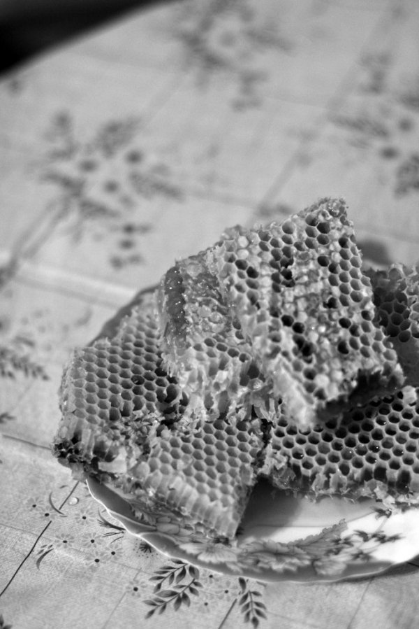 Фотовиставка Анни Лучії Лобос