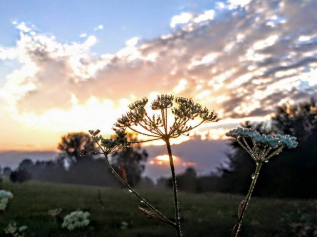 Чарівний світанок у волинському селі. ФОТО