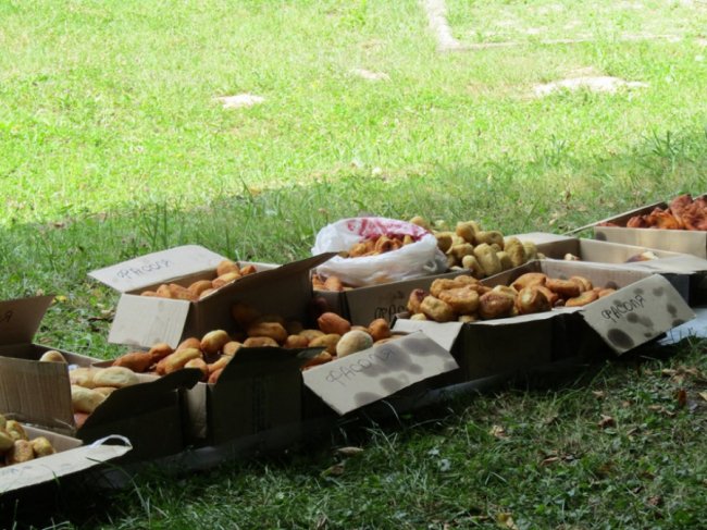 Священники та парафіяни Шацького благочиння нагодували учасників міжнародного хресного ходу. ФОТО 